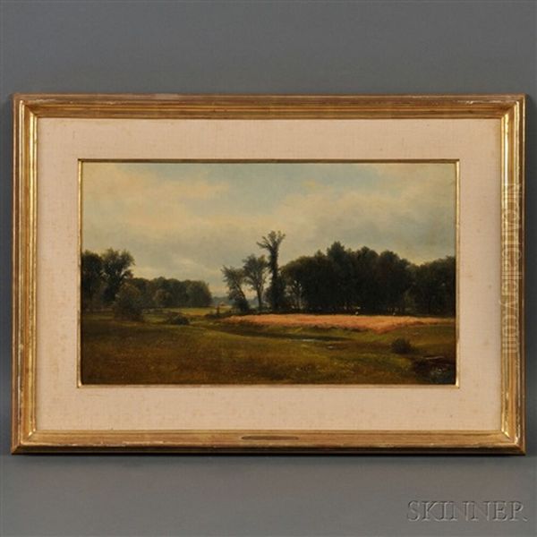 Conway Meadows - view 1