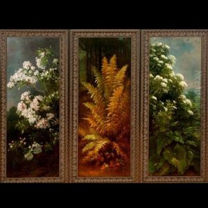 Laurel, Fern, Elderberry (3 Works) Laurel, Fern, Elderberry (3 Works)