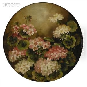 Martha Washington Geraniums