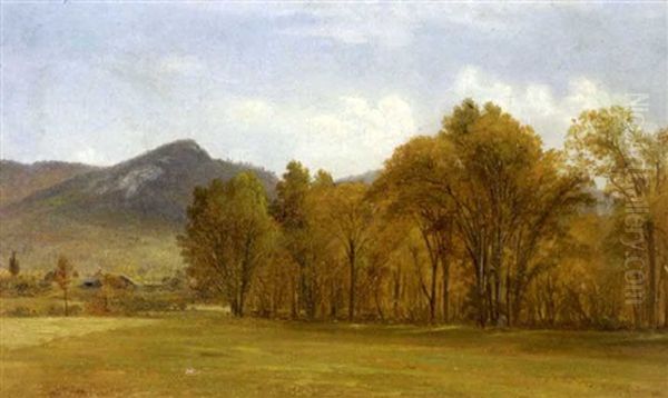 Mountain View Across A Field - view 1