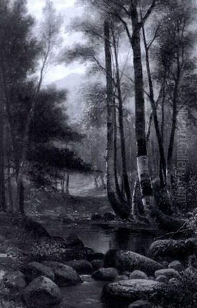 Landscape View With Birch Trees - view 1