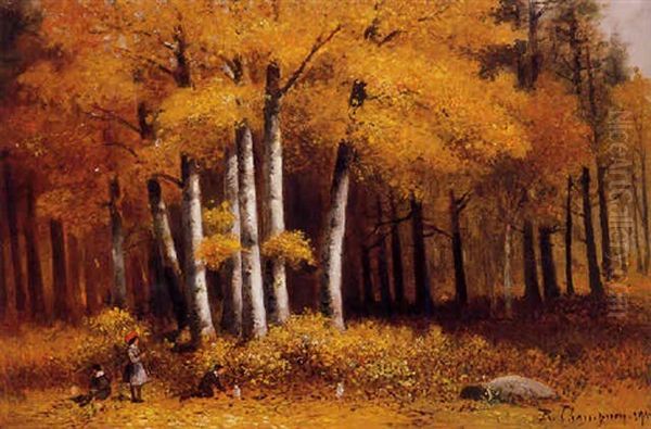 A Walk In The Woods - view 1