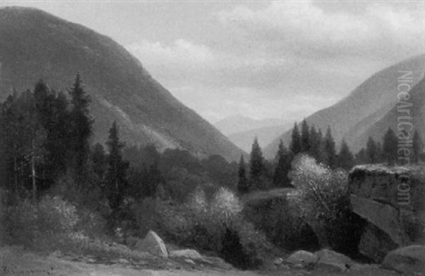 The White Mountains - view 1