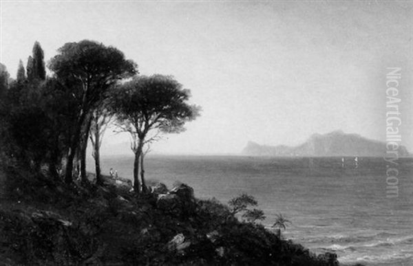 View Of Capri - view 1