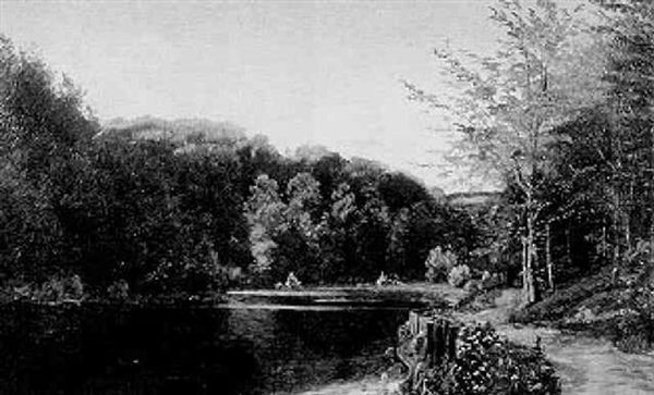 Mill Pond - view 1
