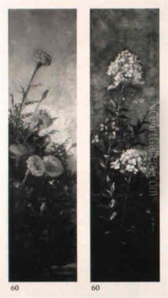 Marigolds - view 1