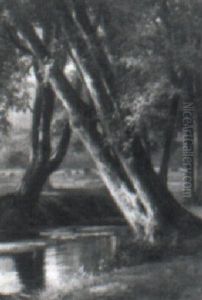 Cattle Grazing By A Stream