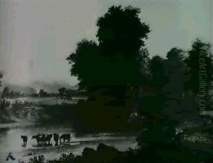 Cows Watering
