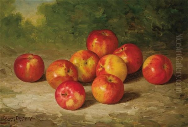 Apples - view 1