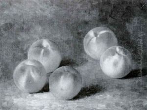 Still Life Of Peaches
