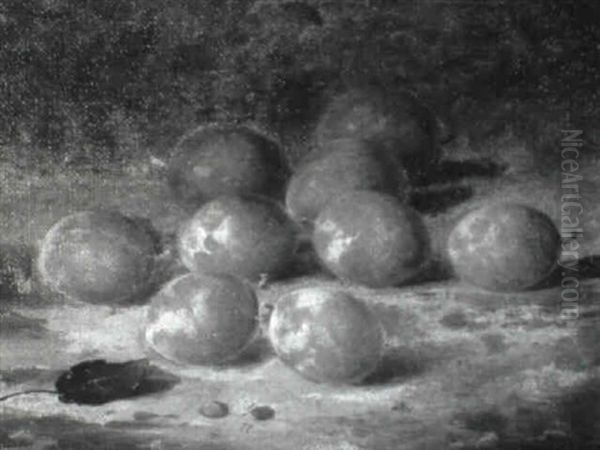 Still Life With Plums - view 1