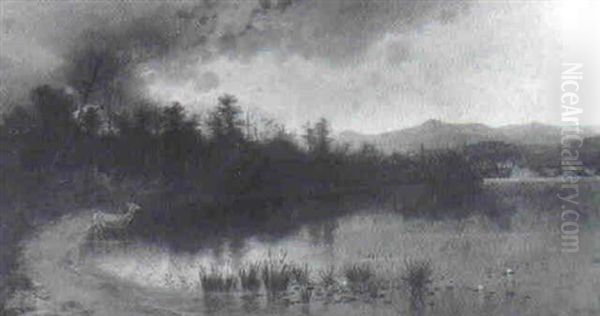 Morning On Upper Saranac Lake - view 1