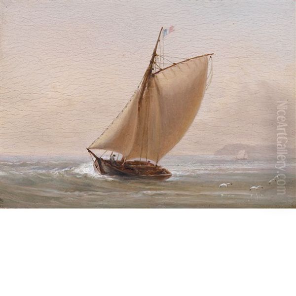 Sailing, Mexico - view 1