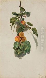 Peaches On A Branch by Conrad Wise Chapman