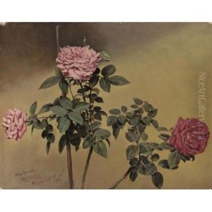 Study Of Roses Study Of Roses