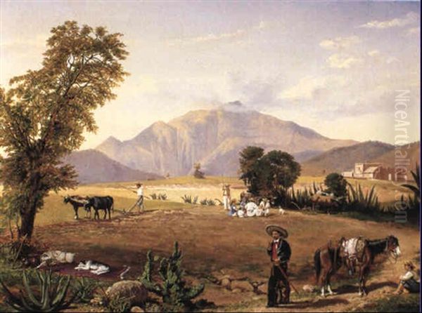 Mexican Landscape - view 1