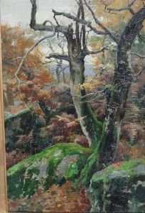 Sottobosco by Torello Ancillotti