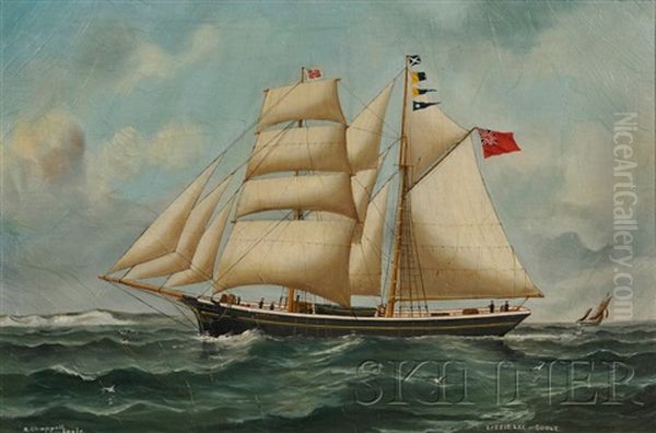 Portrait Of The Hermaphrodite Brig Lizzie Lee - view 1