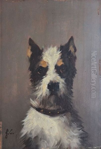 Le Terrier - view 1