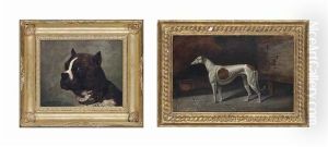 A Bulldog (2 Works) by Jules Chardigny