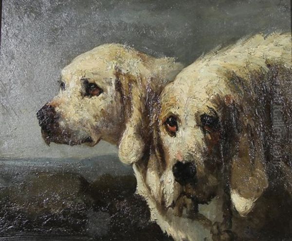 Labrador - view 1