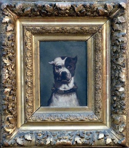 Portrait De Tom, Chien Boxer - view 1
