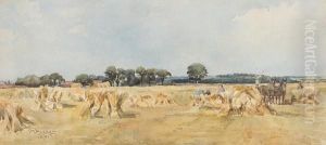 Harvesting by Mary Ancrum