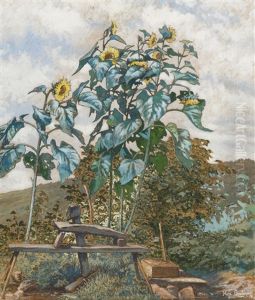 Landschaft Mit Sonnenblumen