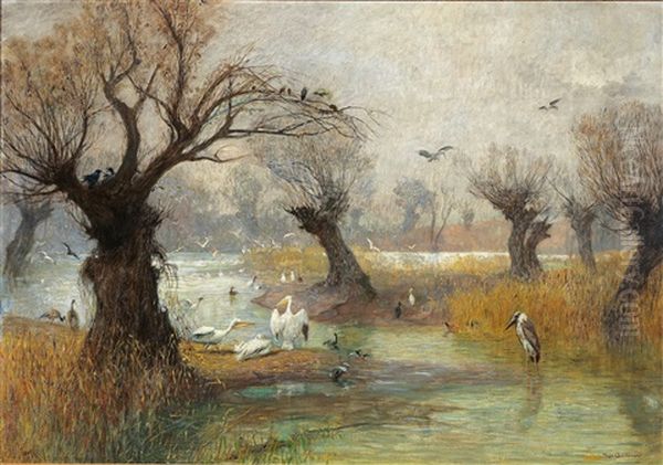 Pelicans On The Riverbank - view 1
