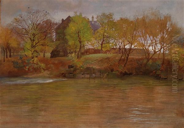 Flusslandschaft An Der Leitha - view 1