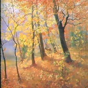 Herbstwald Bei Dornbach