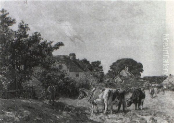 Summer Pastures - view 1