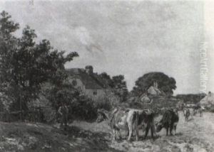 Summer Pastures