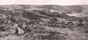 Gypsy Encampment