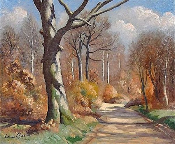 Sentier Boise - view 1