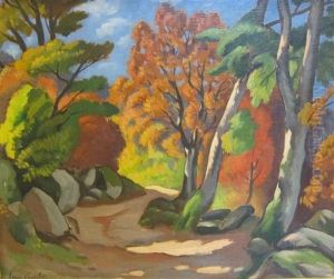 Sun And Shade On A Track