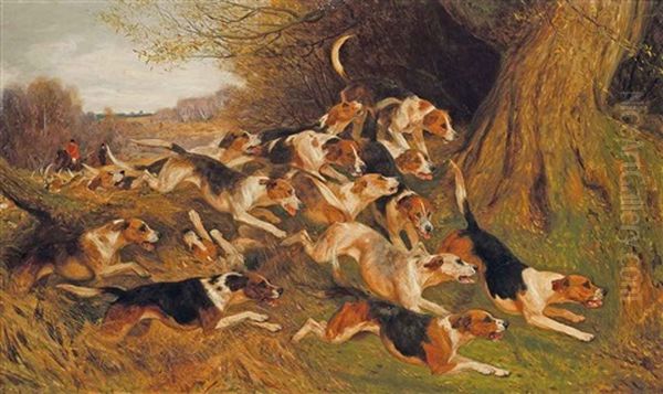 The Thrill Of The Chase - view 1