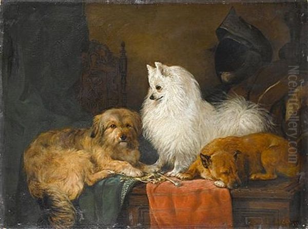 A Volpino Italiano And Other Dogs In An Interior - view 1