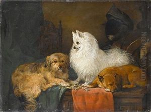 A Volpino Italiano And Other Dogs In An Interior by John Charlton