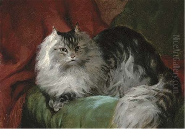 A Comfy Persian Cat, On A Green Cushion - view 1