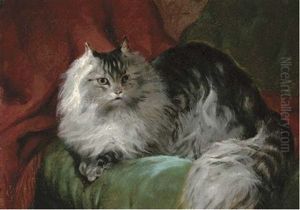 A Comfy Persian Cat, On A Green Cushion by John Charlton