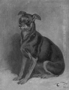 A Seated Dog by John Charlton
