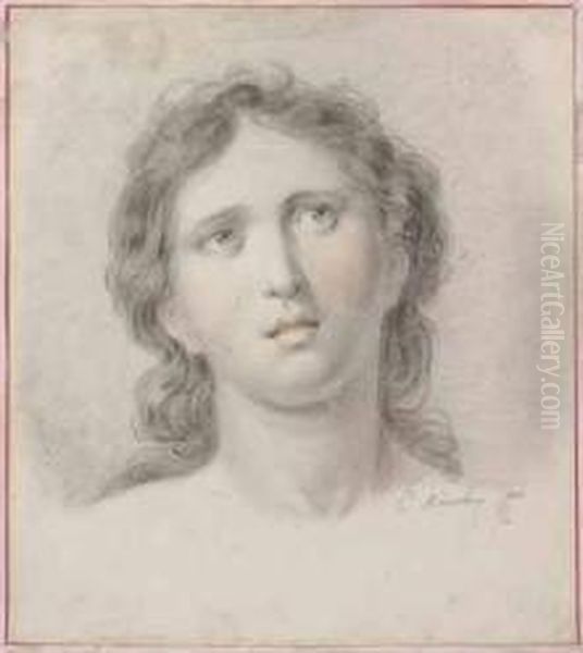 Volto Femminile - view 1