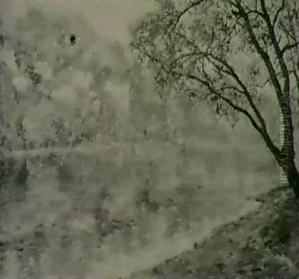 Vue Du Rhone, 1905 - view 1