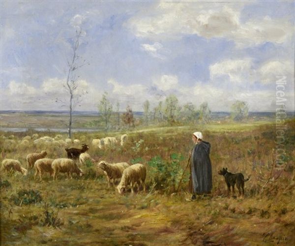 Moutons Au Paturage - view 1