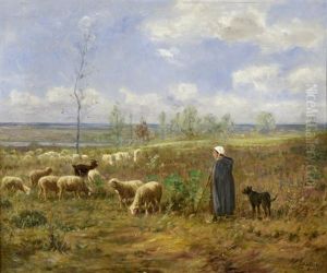 Moutons Au Paturage