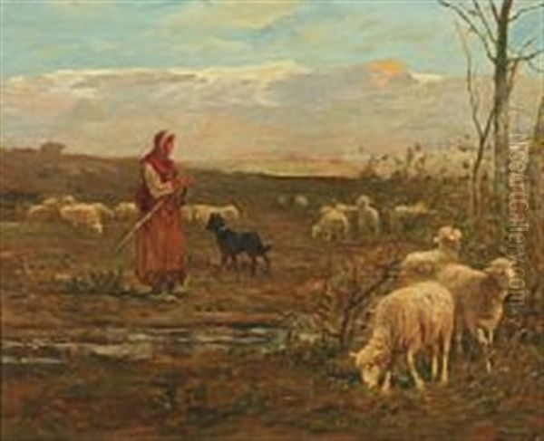 A Shepherd And Her Dog Monitor The Sheep - view 1
