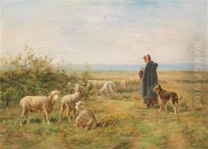 Schafhirtin Auf Der Weide