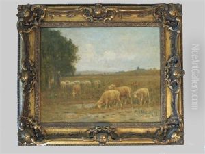 Troupeau De Moutons