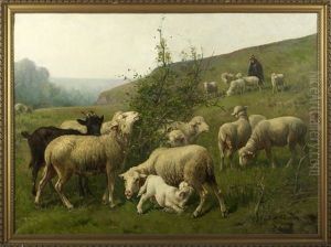 The Return Of The Flock